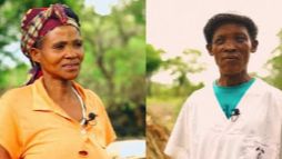 Desidratadores solares artesanais de baixo custo