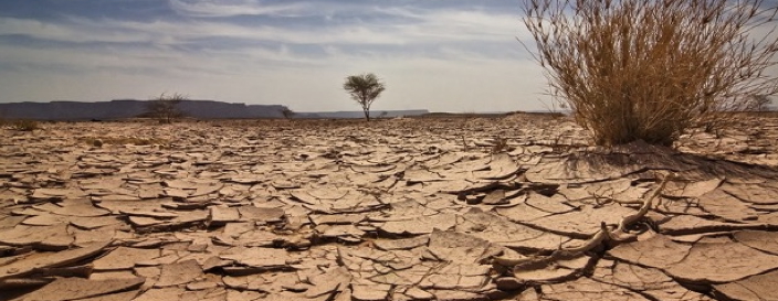 O sul de Angola enfrenta atualmente desafios climáticos, incluindo seca e temperaturas extremas, com impactos significativos nas comunidades locais.