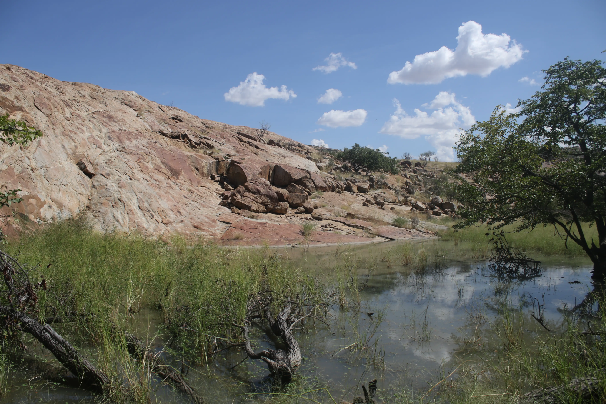 Foco e Monitoramento