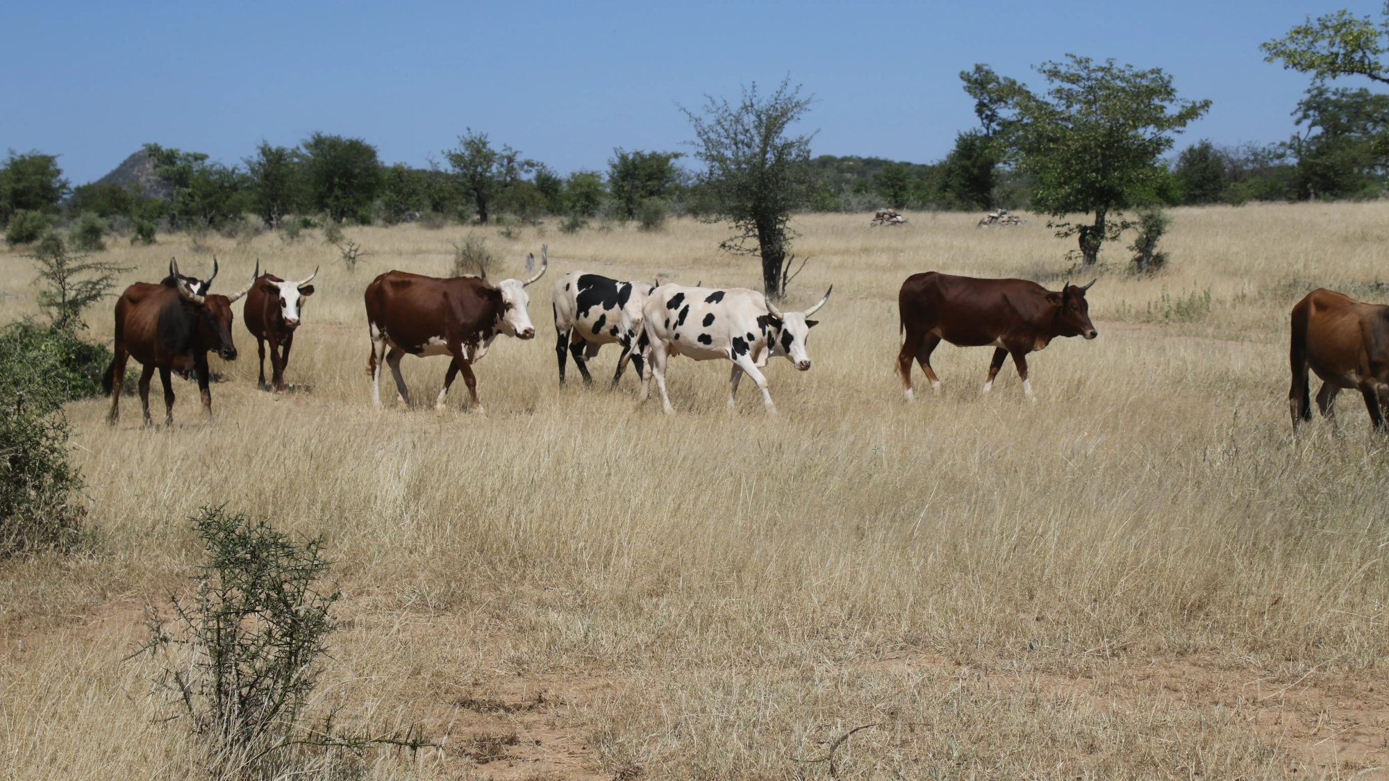 Água, Mobilidade e Território