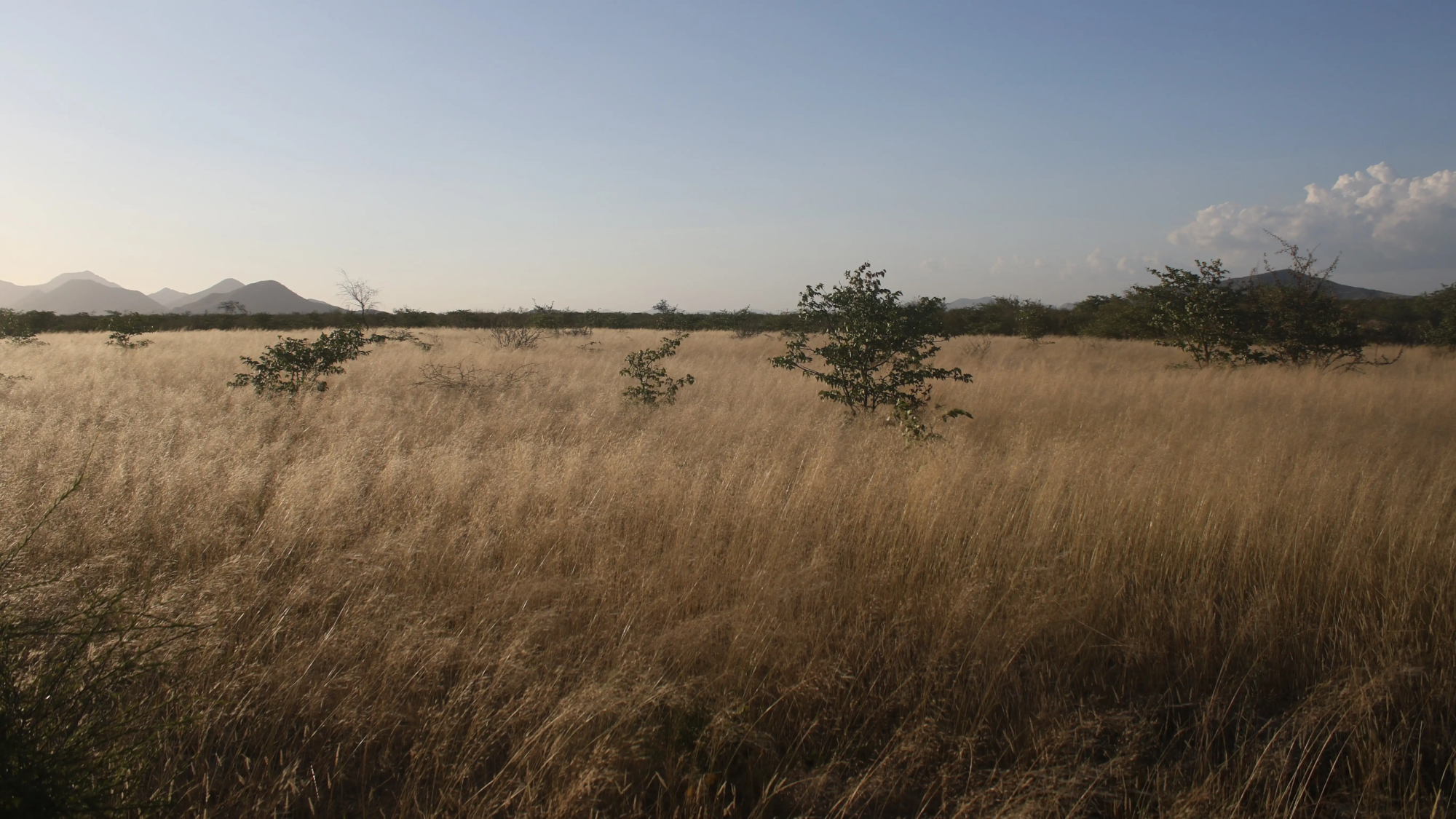 Inovação e Tecnologia