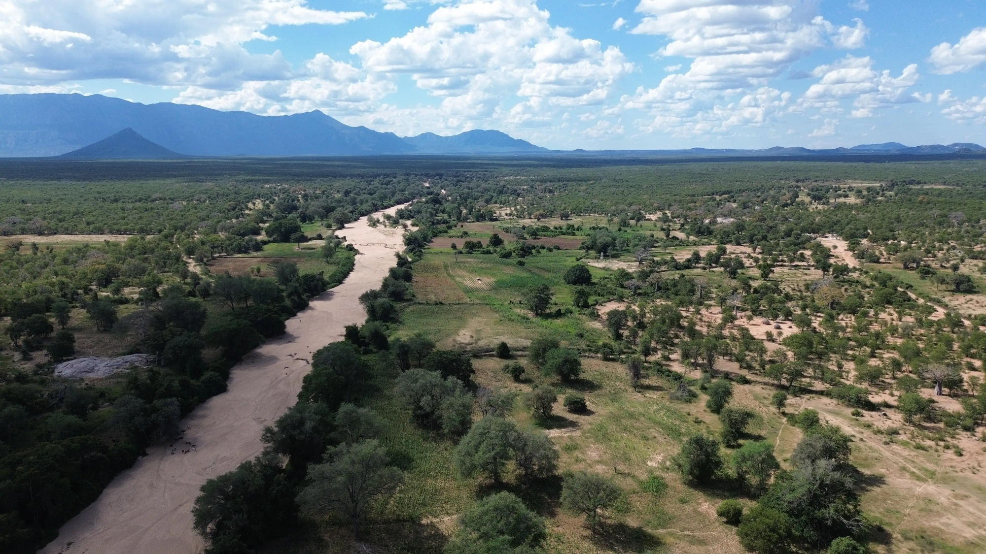 Conhecimento e Comunicação